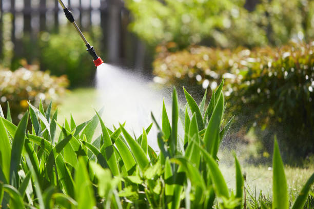 Tamper-Resistant Bait Stations for Rodents in North Arlington
