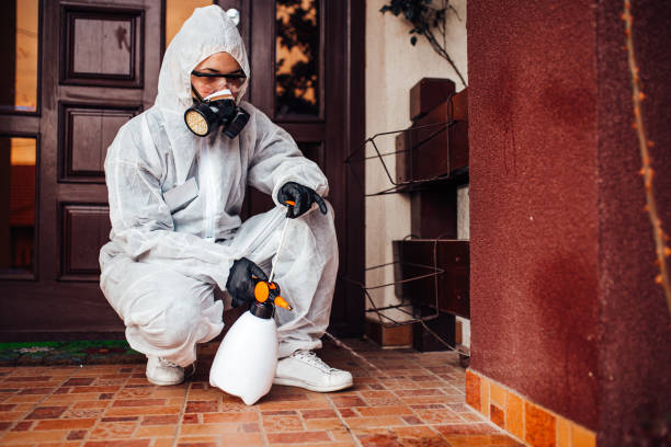 Attic and Crawl Space Rodent Treatment in North Arlington