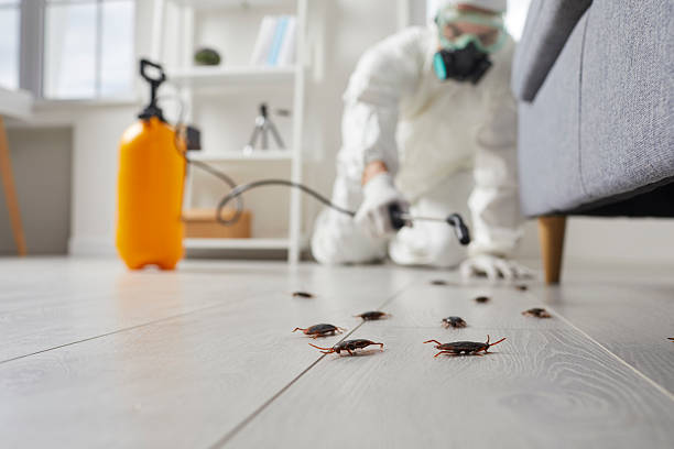 Commercial Rodent Management in North Arlington